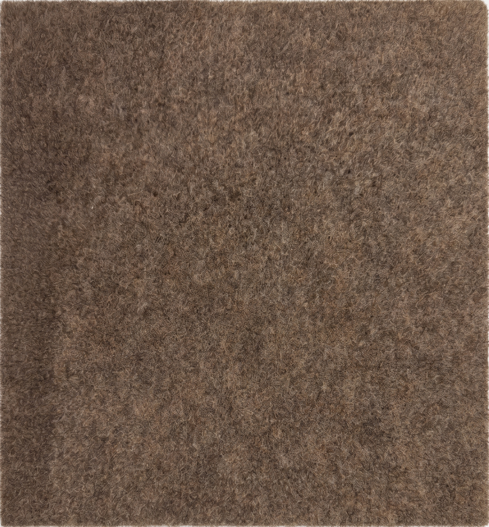 Luxury Carpet